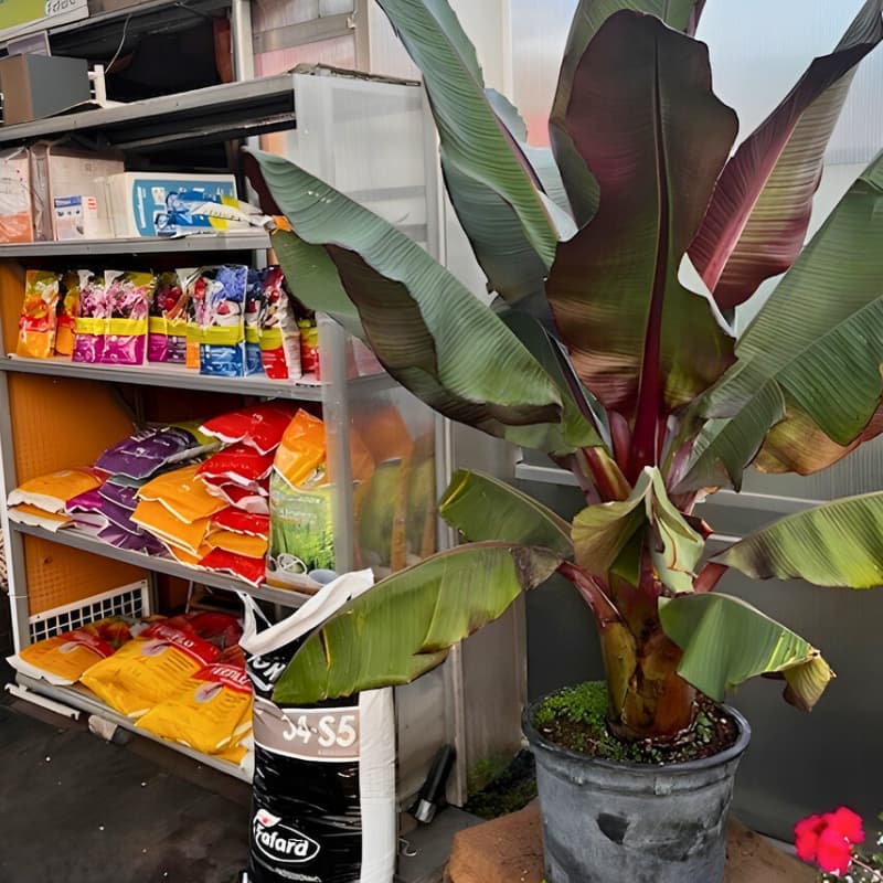 pelouse-semences-engrais-gloco