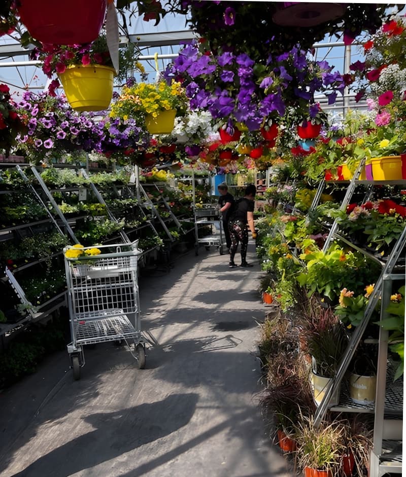 centre-jardin-st-elie-serres-serge-dupuis